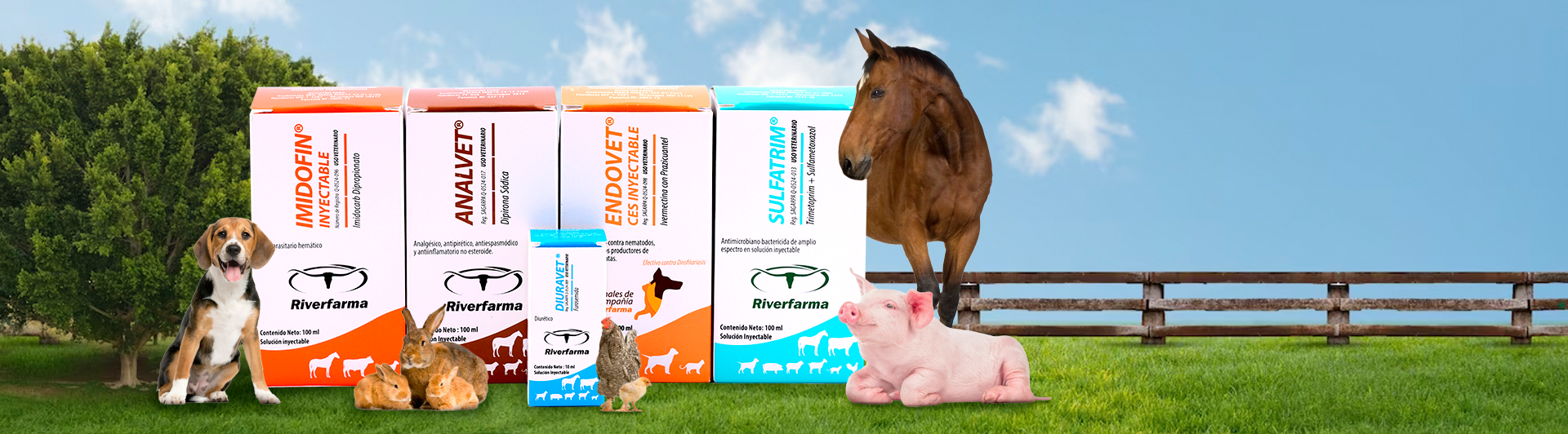 Productos RiverFarma