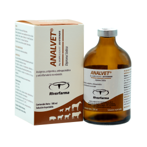 Analvet