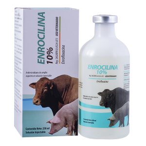 Enrocilina 10%